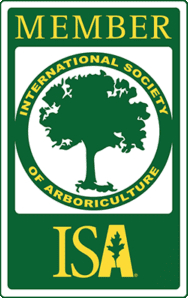 ISAMember-logo2