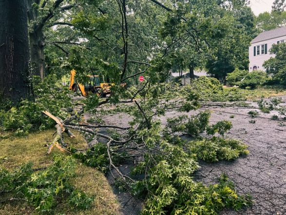 Storm damage with broken branches on street in Salt Lake County