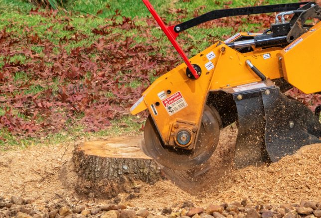 Stump grinder cutting tree stump in a yard in Salt Lake County