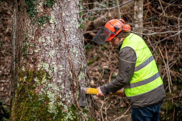Person cutting tree trunk with an axe wearing safety gear in Salt Lake County