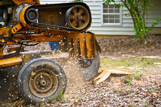 Machine grinding tree stump near house in Salt Lake County