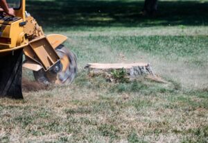 A professional stump grinding service with debris in Salt Lake City, UT