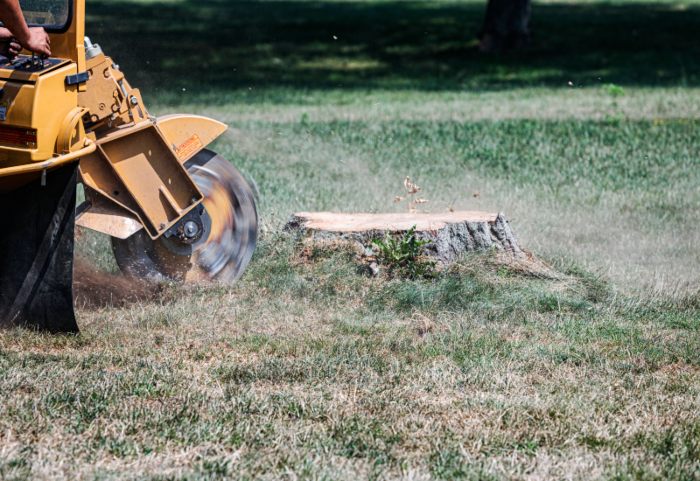 A professional stump grinding service with debris in Salt Lake City, UT