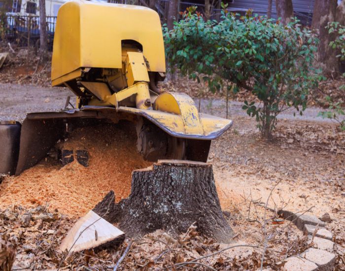 A stump grinder machine grinding a tree stump in a natural outdoor setting in Salt Lake City, UT