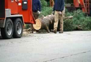 Two professionals handling a large tree trunk after tree removal in Salt Lake City, UT