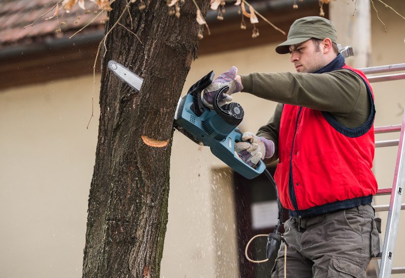 An expert cutting a trunk, promoting tree trimming service in Salt Lake City, UT
