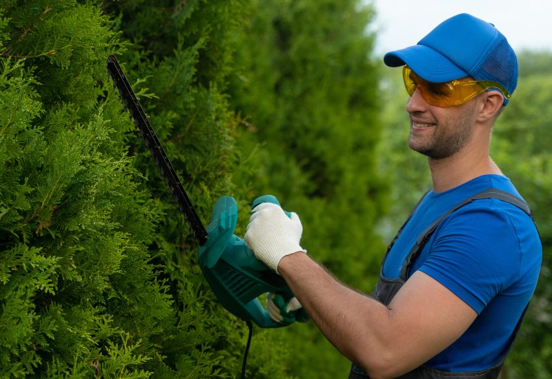 An expert trims a hedge, showing the benefits of regular tree maintenance in Salt Lake City, UT
